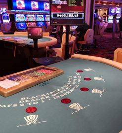 Diverse Online Casino Malaysia Games Support Wider Choices Across Different Preferences